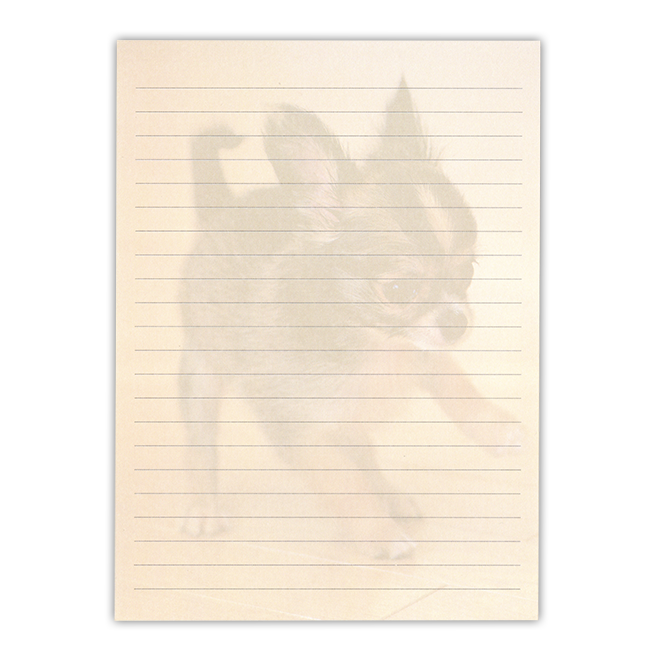 �T���l�C��2